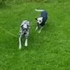 Vidar Bakkevoll - @vickylamonte - TikTok