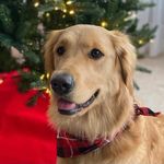Vicki Lance Goenner - @vickilgoenner - Instagram