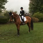 Vicki Langer - @vicki.langer.167 - Instagram