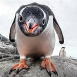 Vicky Langer - @misty195964 - Instagram