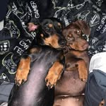 Vicky Langford - @langford1977 - Instagram