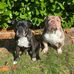 Vicky Larkin - Facebook