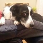 Vicki Latham - @vickill - Instagram