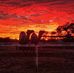 Vicki Lawler - Facebook