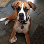 Vicky Layton - @jacksdaughter3 - Instagram