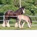 Vikki Lear - Facebook
