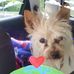 Vicky Lehman - Facebook