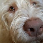 Vicki Lennon - @vixstarre - Instagram