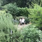 Vicky Lincoln - @vickylincolngardendesign - Instagram