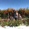 Vicky Lindsay - @vicky.lindsay - TikTok