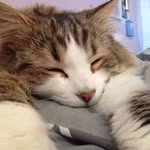 Vicki Linton - @victoria.linton07 - Instagram