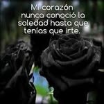 Vicky Machado Llerena - @vickymachadollerena - Instagram