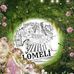 Vicky Lomeli - Facebook