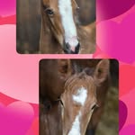 Vicky Louise Hartley - @kydanstud - Instagram