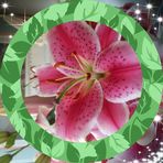 Vicky Lovett - Facebook