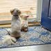 Vicki Birdsong Lovvorn - Facebook