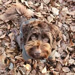 Vicky Marie Lowery - @loweryv - Instagram