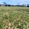 Vicky Lozada - @vickyviera023 - TikTok