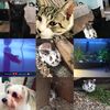 Vicky Lucia - @animal_loverr101 - TikTok
