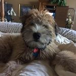 Vicky Ludwig - @ludwigvicky - Instagram