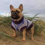 Vicky June Lund - @karma.larma - Instagram