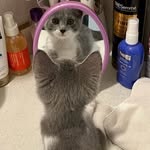 Vicky Lutz - @vickylorrainelutz - Instagram