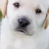 Vicky Madden - @vickymadden - TikTok