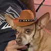 vickymadden28 - @vickymadden28 - TikTok