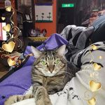 Vicky Madison - @vicky9943 - Instagram