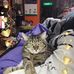 Vicky Madison - Facebook
