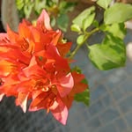 Vicky Mae - @vicky582198 - Instagram