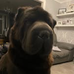 Vicky malone - @maximus20237 - Instagram
