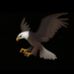 Vicky Mann - Facebook