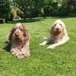 Vicky Mansfield - @vickyjmansfield - Instagram