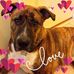 Vickie McConnell - Facebook