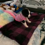 Vicky Mcconnell - @coocoolady6 - Instagram