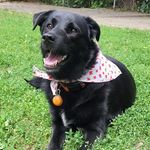 Vicky McCormick - @runtwdragon - Instagram