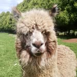 Vicky McCurdy - @vickymc7373 - Instagram