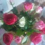 Vicky McDonald - @vikinglake1 - Instagram