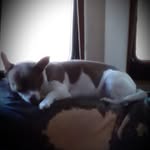 Vicky McDonald - @vickyl.mcdonald1 - Instagram