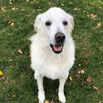 Vicki Milligan Hardey - @vmh8483 - Instagram