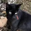 Vicky Mora - @vicky.mora756 - TikTok