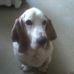 Vicky Munson - Facebook