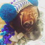 Vicky Murray - @vickyplanetlove - Instagram
