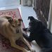 Vicki Anne Newton - Facebook