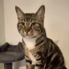 Tori and Milo - @vickynorman692 - TikTok