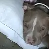 vickyorozco72 - @vickyorozco72 - TikTok