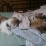 Vicky Padgett - @padgett.vicky - Instagram