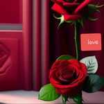 Vicky pandya - @__vickypandya_07_ - Instagram