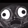 Rat_in_a_sock - @vickyfromfairlyoddparent - TikTok
